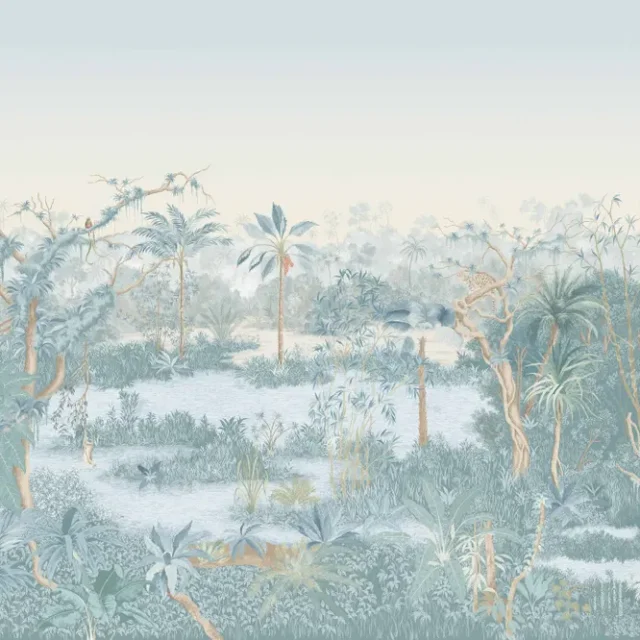 Manuel Canovas - Borneo Celeste