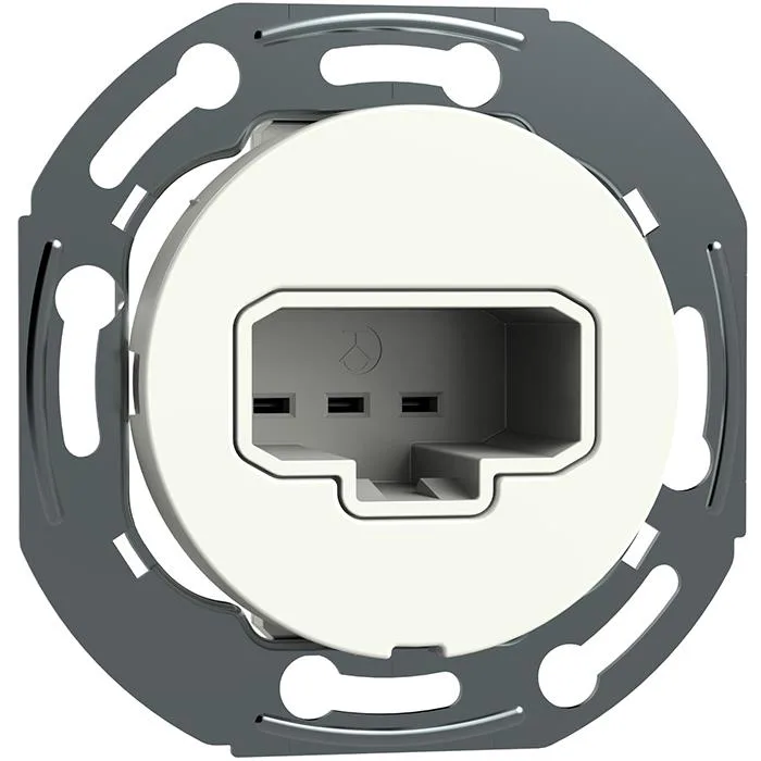 Schneider Electric Renova WDE005019 Lamputtag DCL, för väggmontage, infällt Svart
