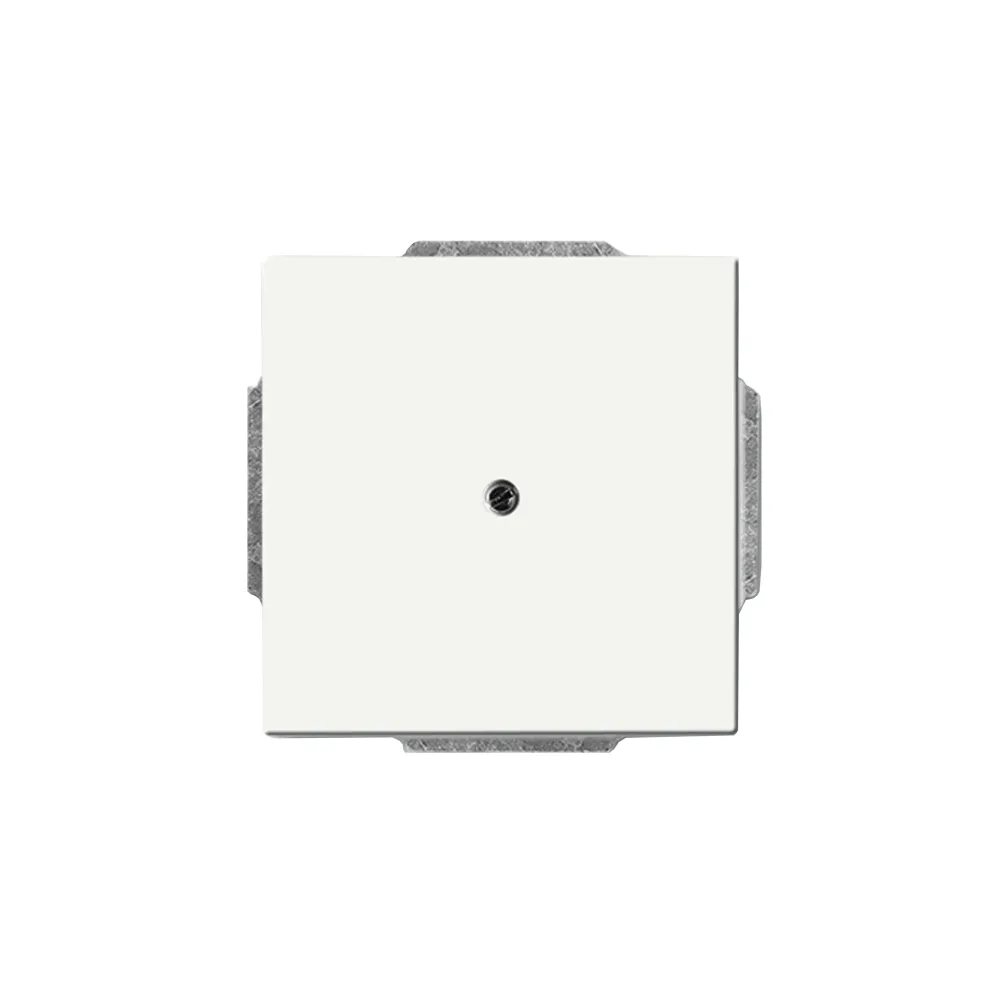ABB 2CKA001710A3873 Centrumplatta täcklock