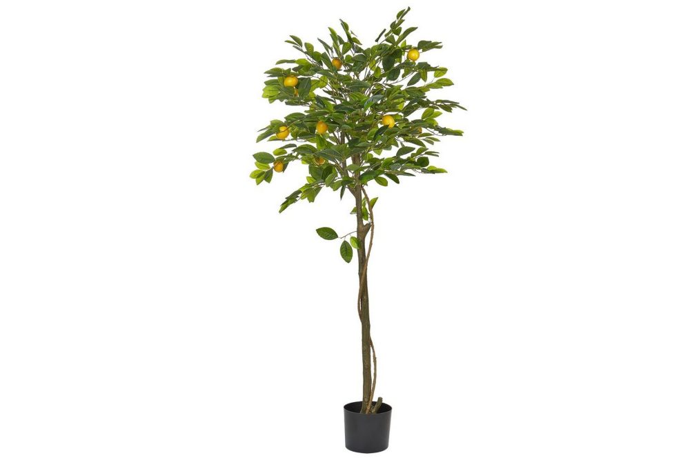 Konstgjord växt Lemon Tree 66x66x156 cm