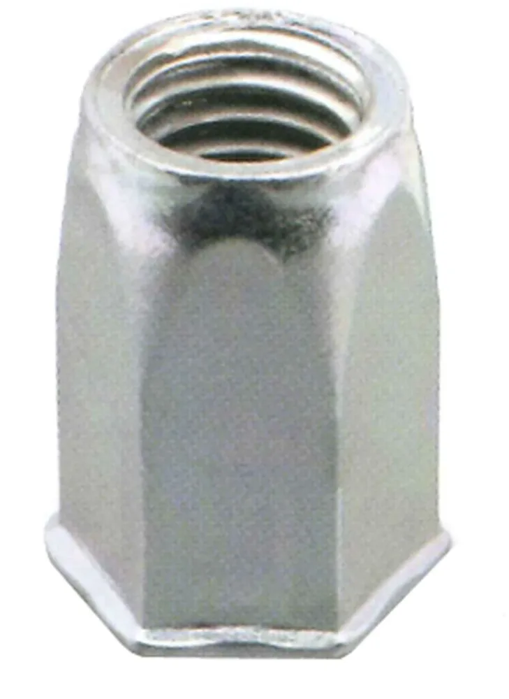 Ejot 460397 Blindnitmutter självförsänkt öppen sexkant, 200-pack M5