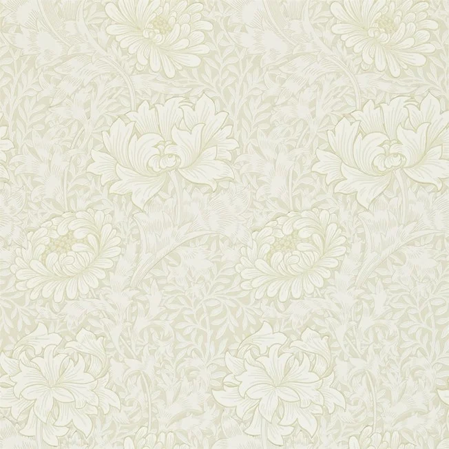 Morris & Co - Chrsyanthemum Chalk Morris 160th Anniversary