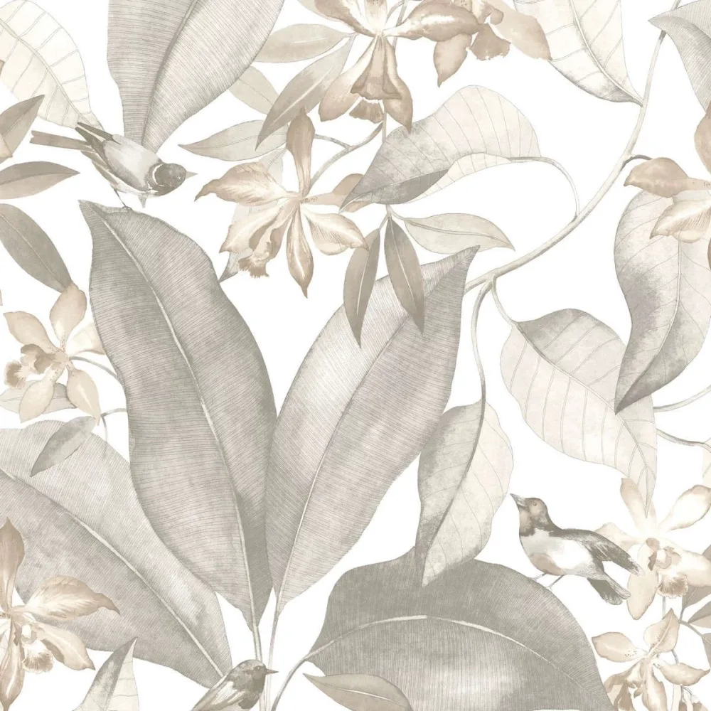 Delicacy Birdsong Taupe / Gris Dely85389242 Tapet | Stuvbutiken