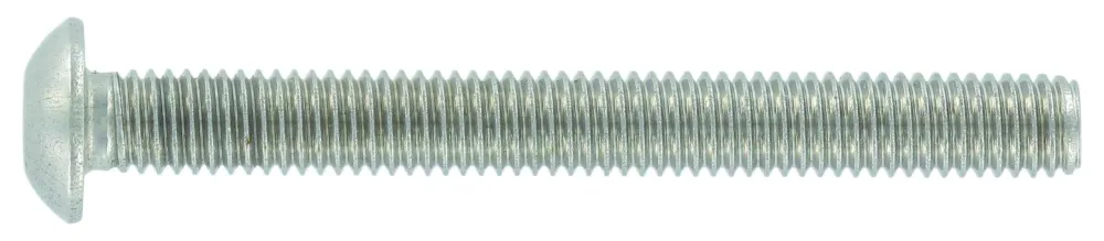 Schäfer & Peters 73801410100 Sexkanthålsskruv M10 K6S A4, ISO 7380, 50-pack M10 x 100 mm