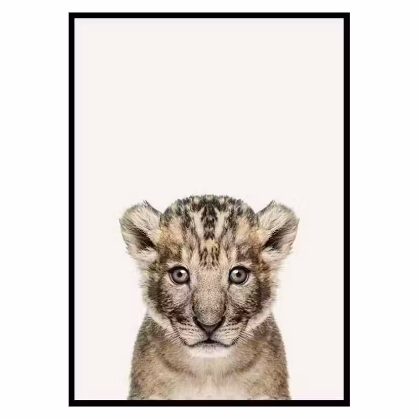 Poster Gallerix Baby Lion Storlek: 70x100 cm