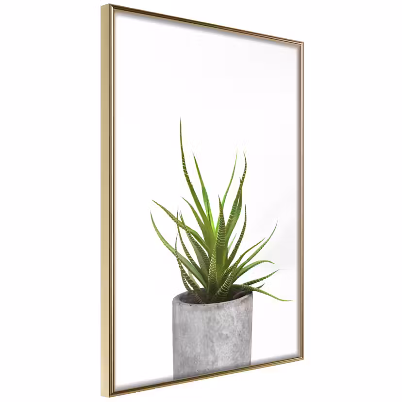 Poster Artgeist Affisch Haworthia Guld ram, 40x60 cm