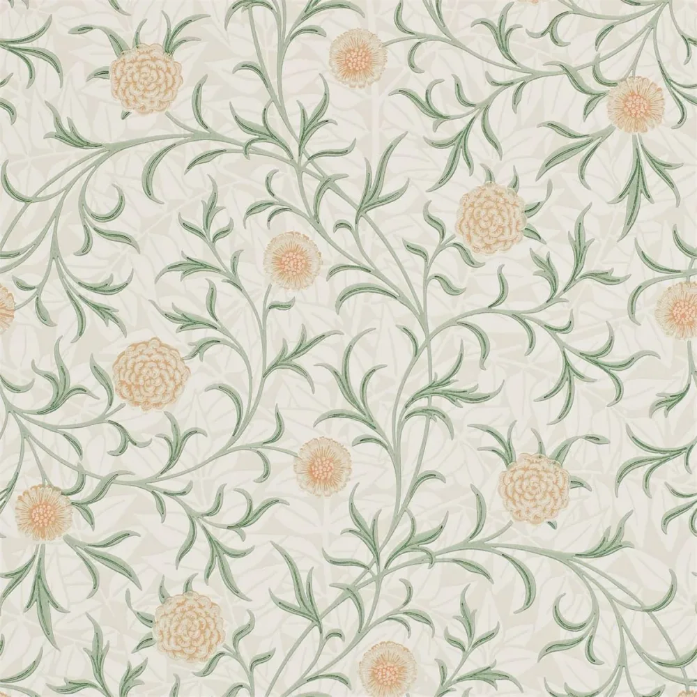 Compilation Scroll Thyme/pear Dcmw216831 Grön Tapet | Stuvbutiken