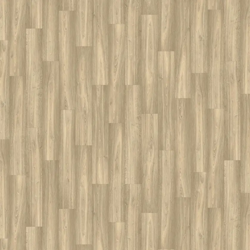 Bonsai Oak, Almond 2m bred | Iconik T-Extra