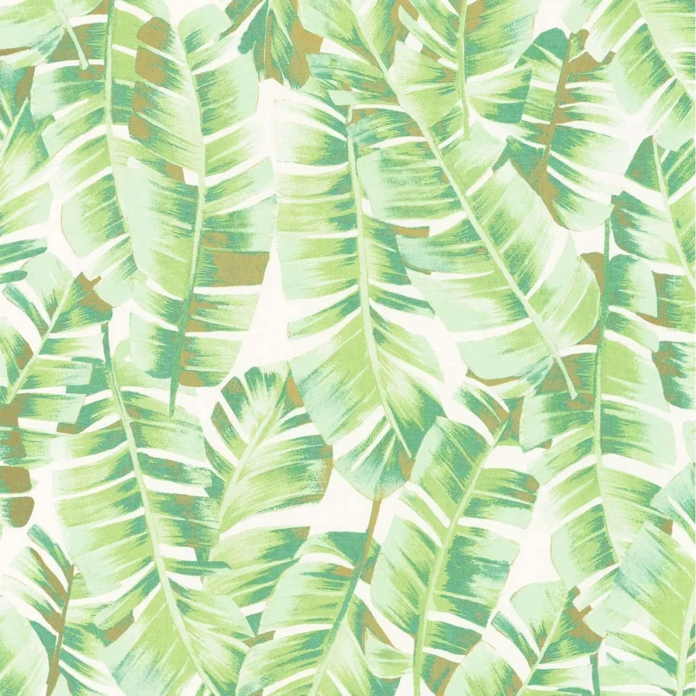 Botanica Folium Vert Feuille Bota85947340 Tapet | Stuvbutiken