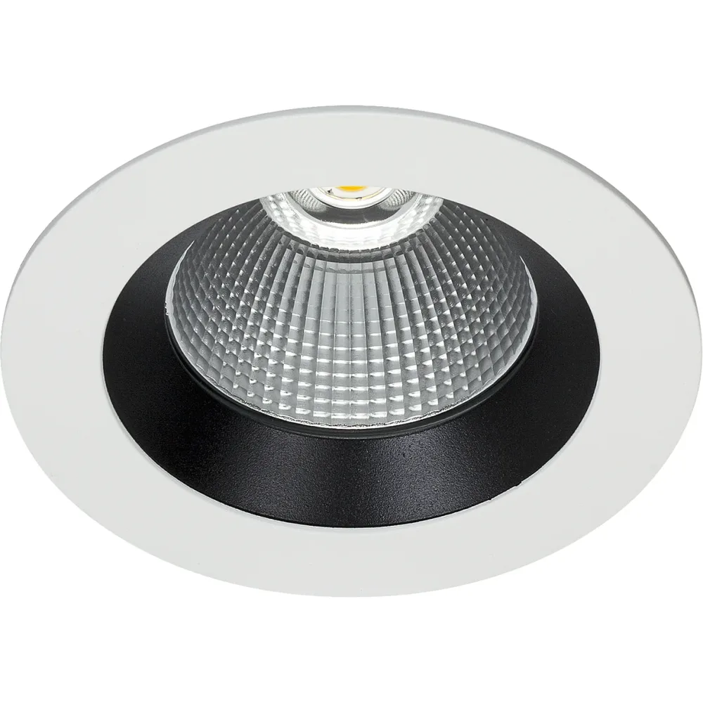 Easyform Silver Downlight standard 40W
