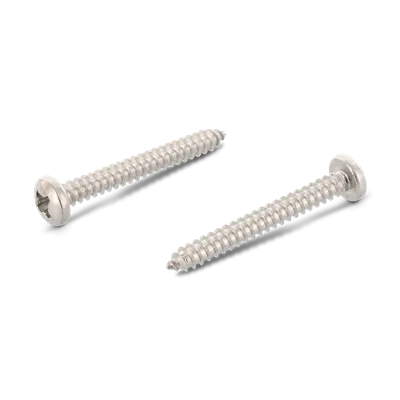 Schäfer & Peters 7981405532 Skruv 5,5 mm, RXS A4 ST, DIN 7981 C 5,5 x 32 mm, 500-pack - Bild 2